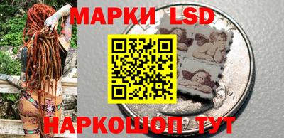 прущий лед Будённовск