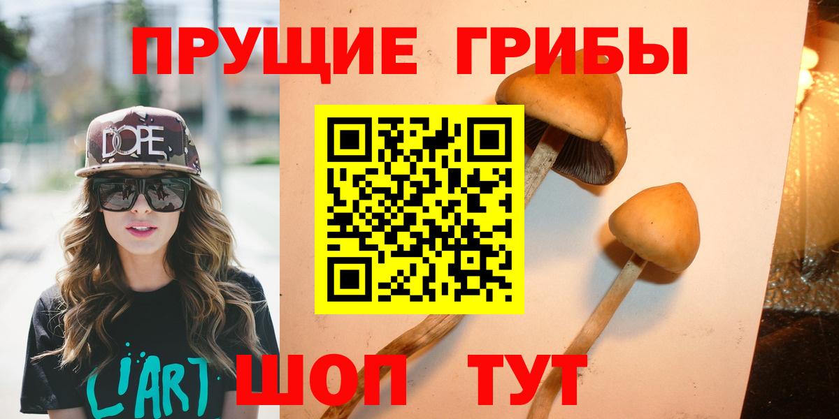 Псилоцибиновые грибы ЛСД  Вход с VPN  купить наркотики цена  Сызрань 